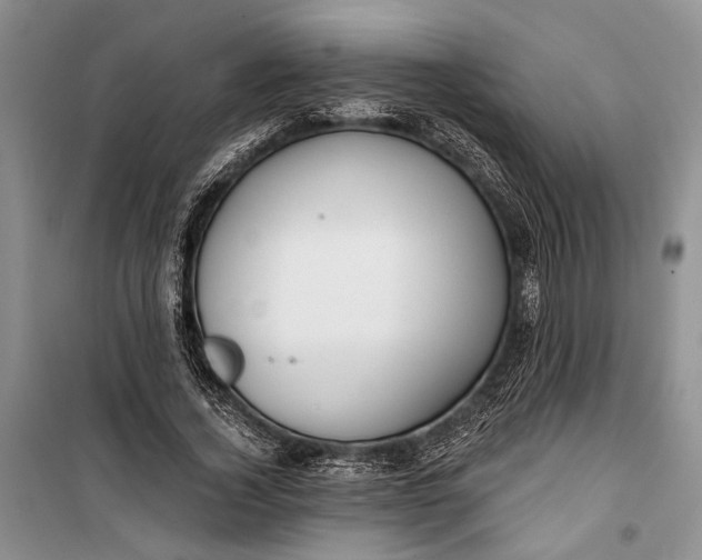 X0000100200732200806131229