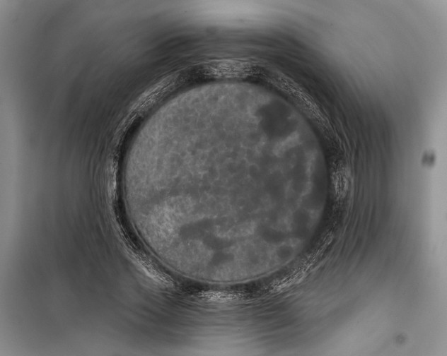 X0000100200733200806131229