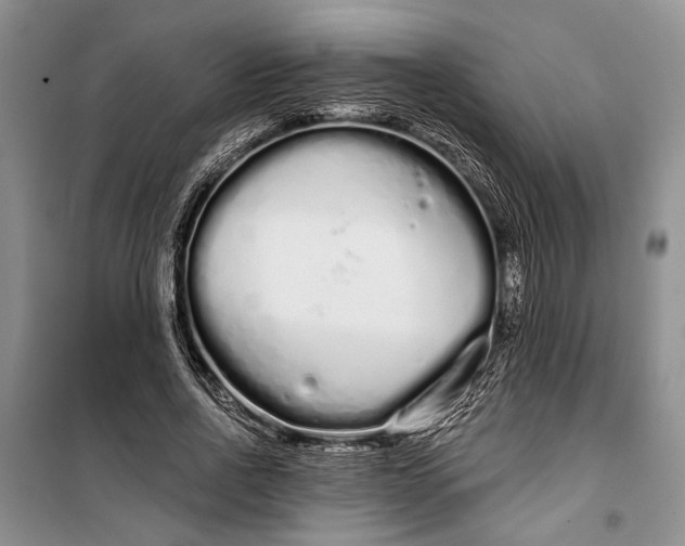 X0000100200734200806131229