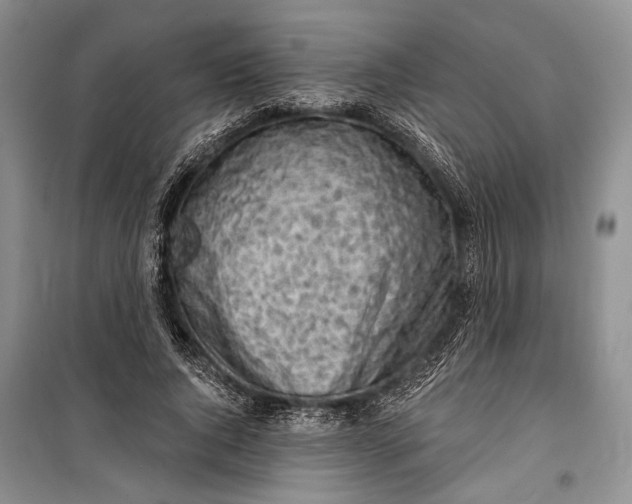 X0000100200736200806131229