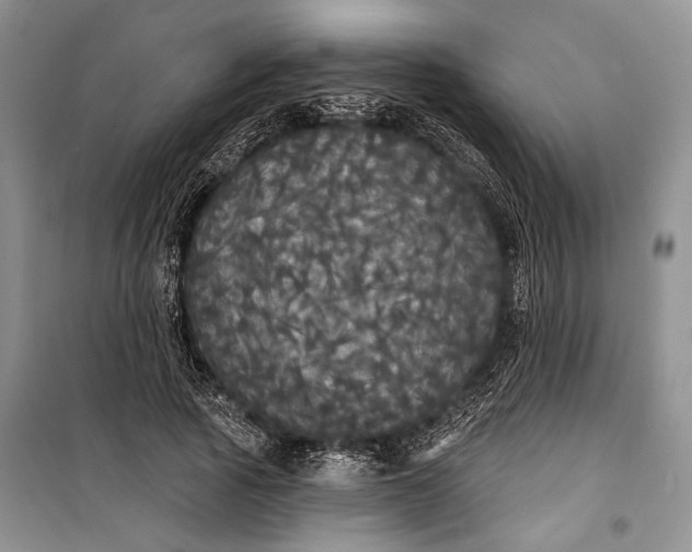 X0000100200737200806131229