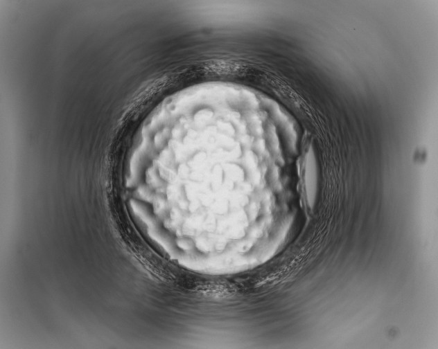 X0000100200738200806131229