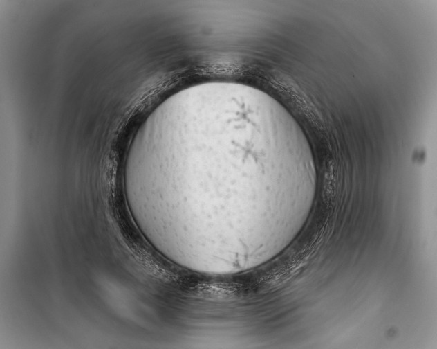 X0000100200739200806131229