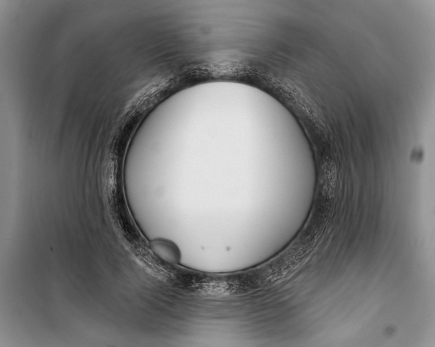 X0000100200740200806131229