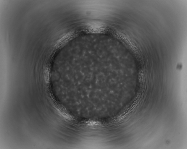 X0000100200741200806131229