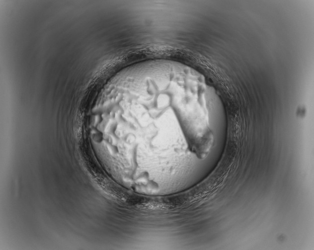 X0000100200742200806131229