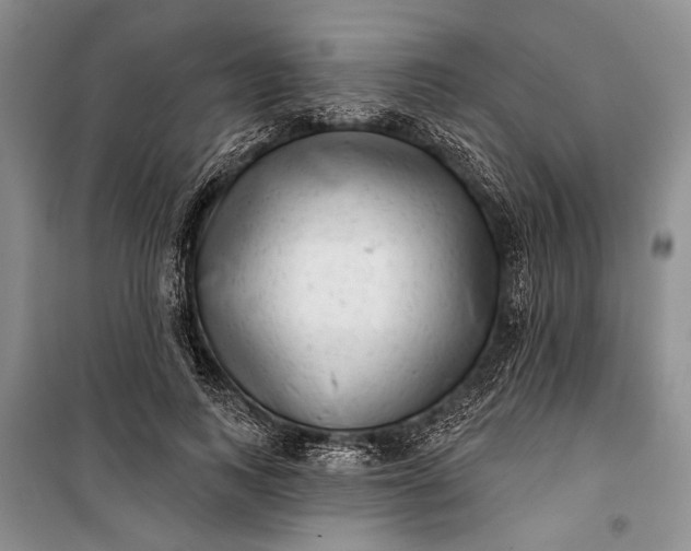 X0000100200743200806131229