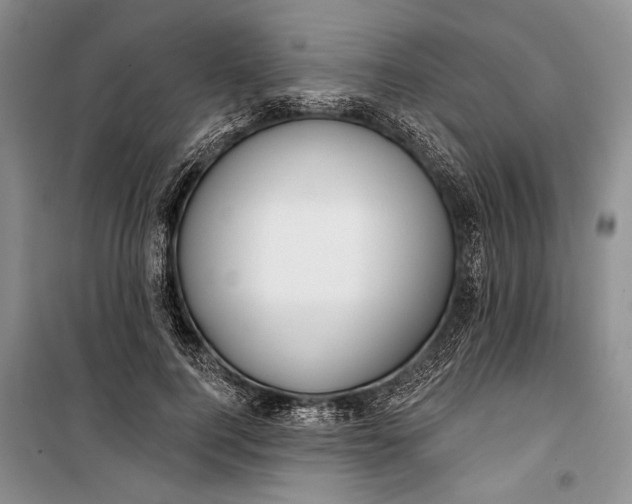 X0000100200744200806131229