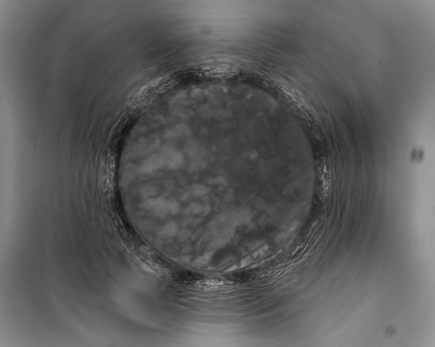 X0000100200745200806131229