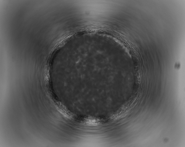 X0000100200746200806131229