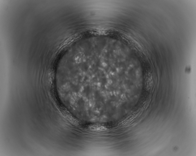 X0000100200747200806131229