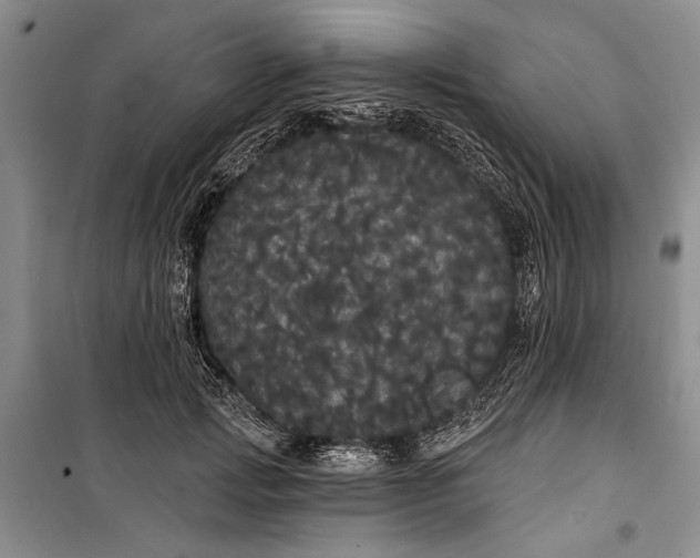 X0000100200749200806131229