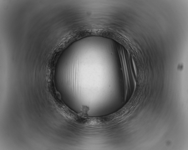 X0000100200750200806131229