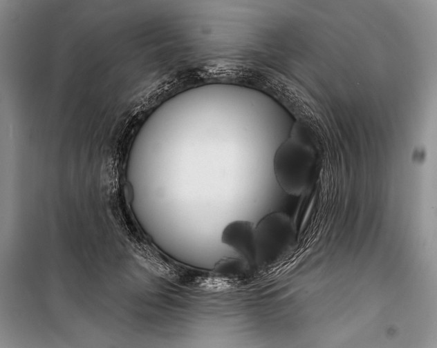 X0000100200751200806131229