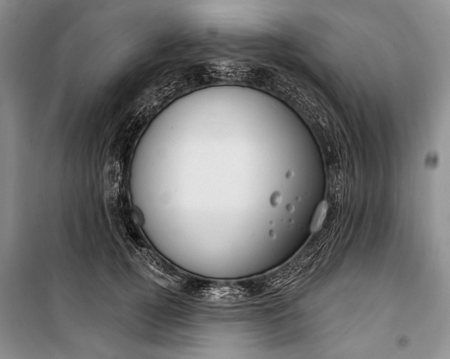 X0000100200752200806131229