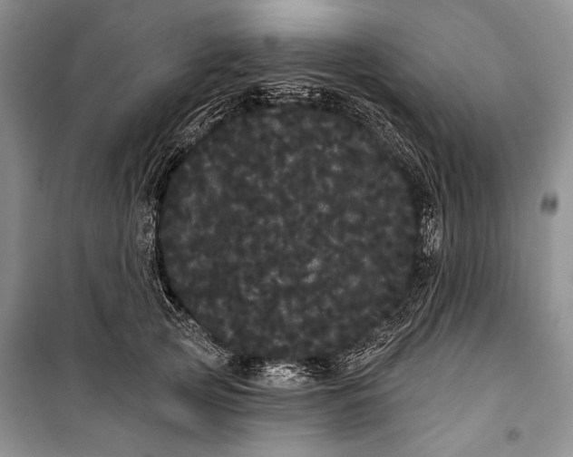 X0000100200753200806131229