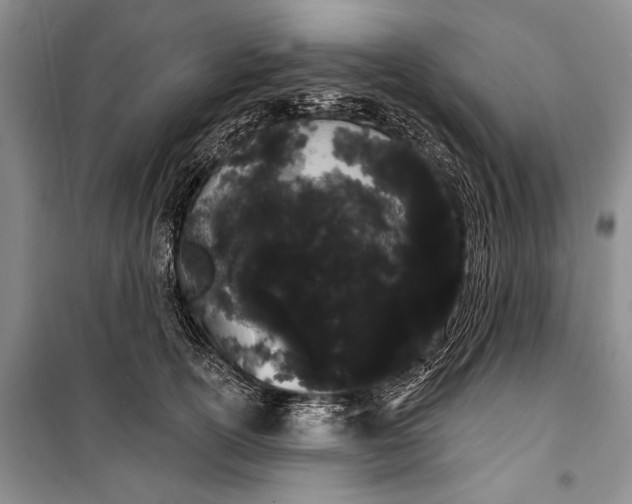 X0000100200754200806131229