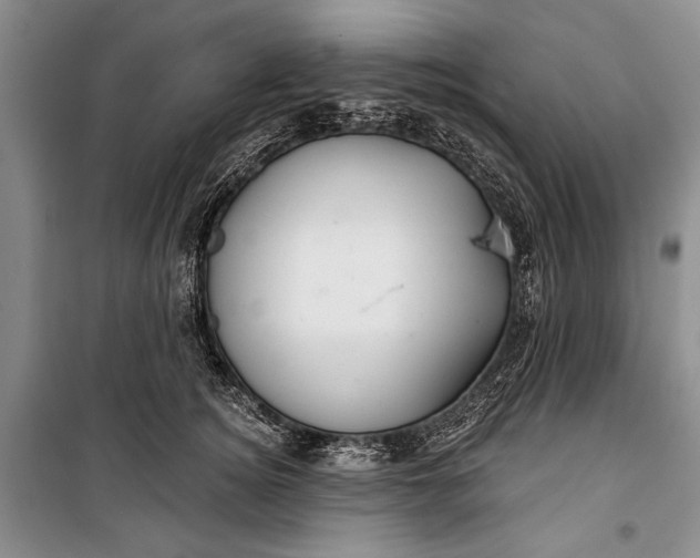 X0000100200756200806131229