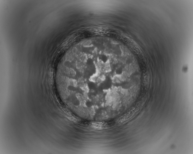 X0000100200757200806131229