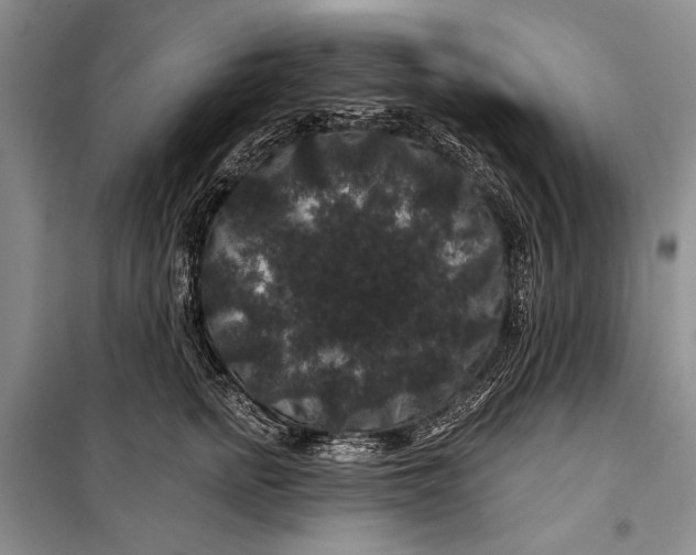 X0000100200758200806131229