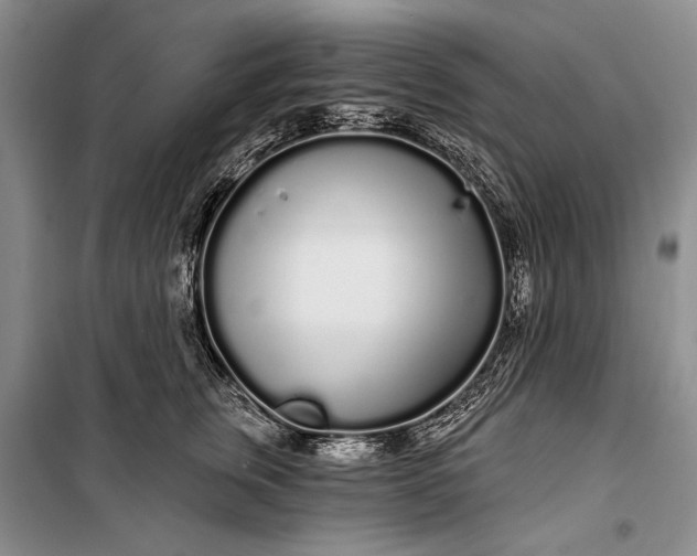 X0000100200759200806131229