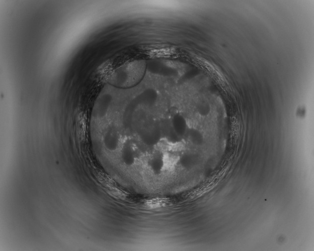 X0000100200761200806131229