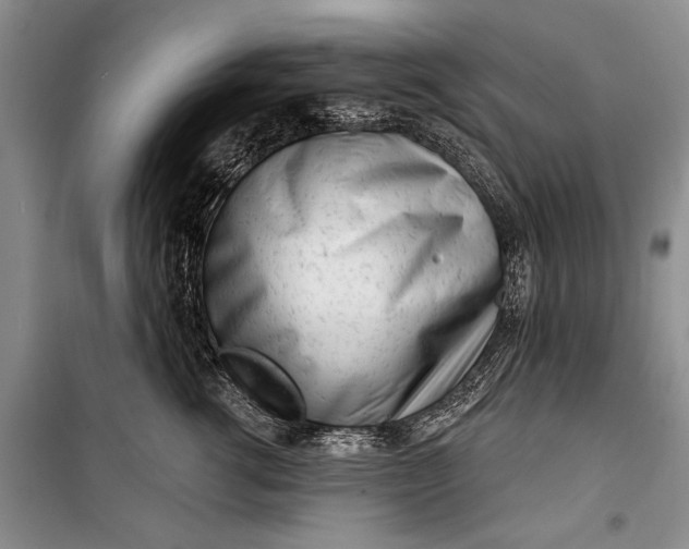 X0000100200762200806131229