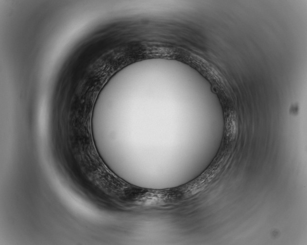 X0000100200764200806131229