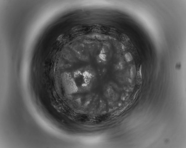 X0000100200765200806131229