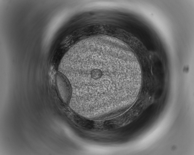 X0000100200766200806131229