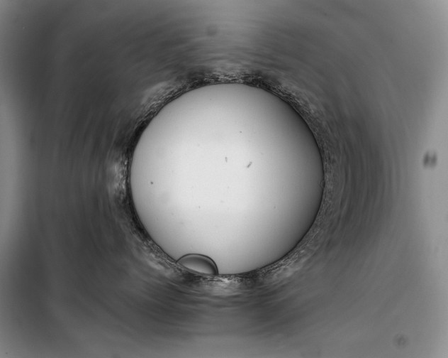 X0000100200768200806131229