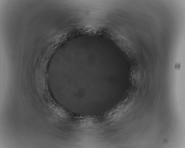 X0000100200769200806131229