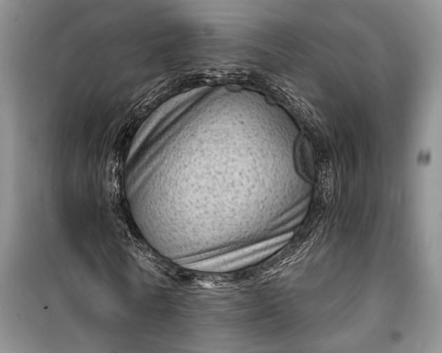 X0000100200770200806131229