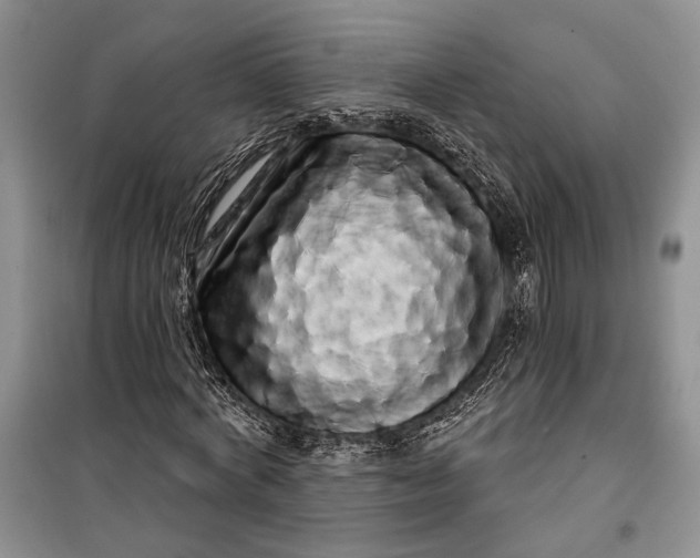 X0000100200772200806131229