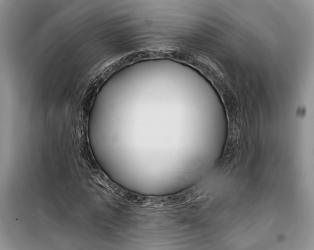 X0000100200773200806131229