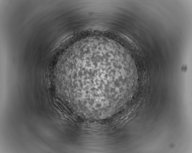 X0000100200774200806131229