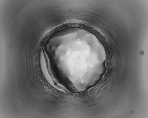 X0000100200775200806131229