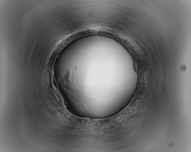 X0000100200776200806131229