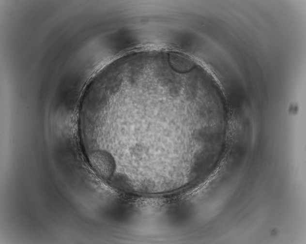 X0000100200778200806131229