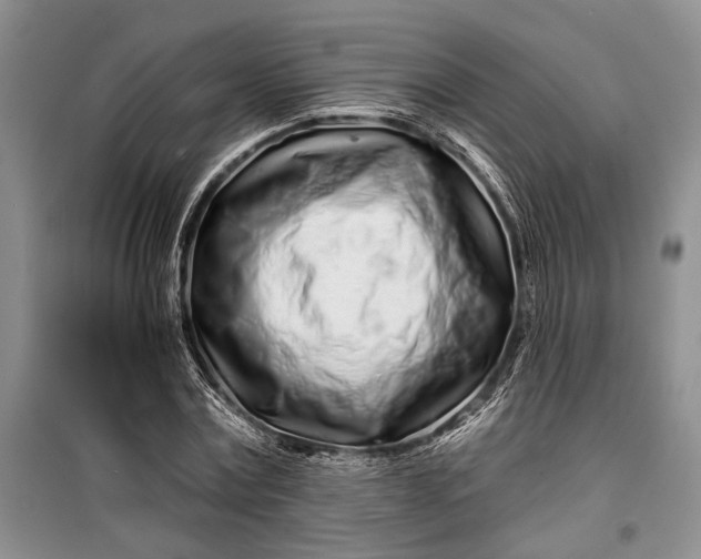 X0000100200779200806131229