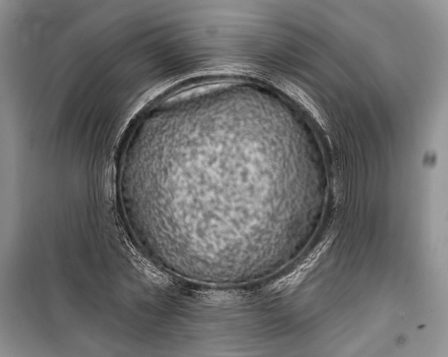 X0000100200781200806131229