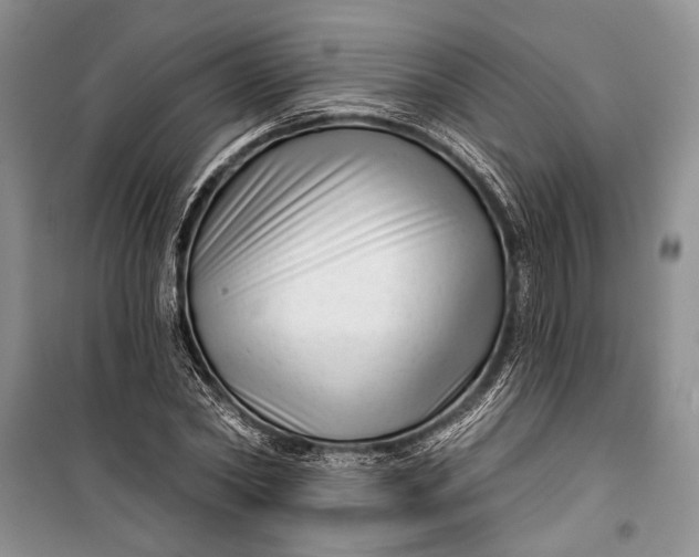 X0000100200782200806131229