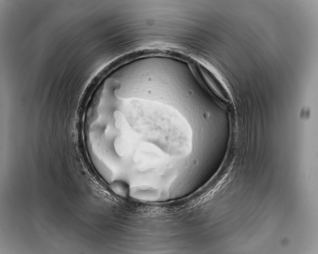 X0000100200783200806131229