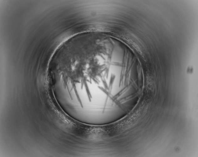 X0000100200784200806131229