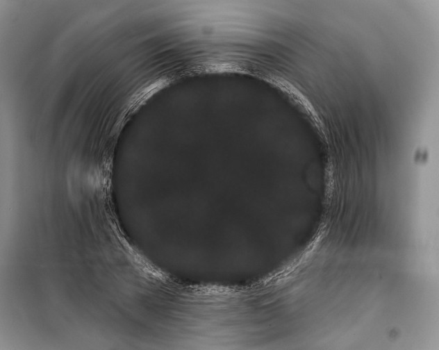 X0000100200785200806131229