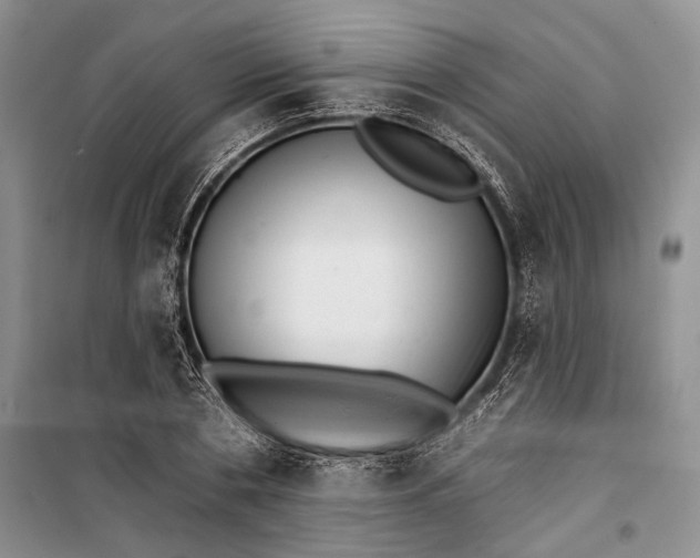 X0000100200786200806131229