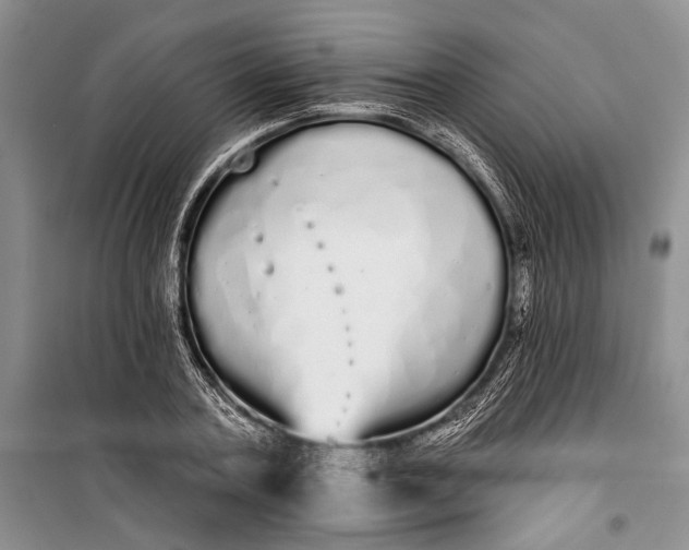 X0000100200787200806131228