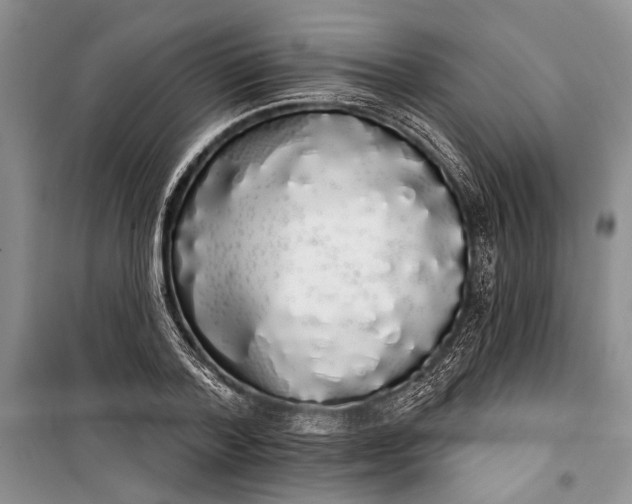 X0000100200788200806131228