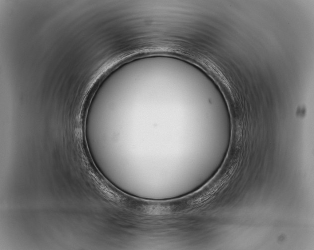 X0000100200789200806131228