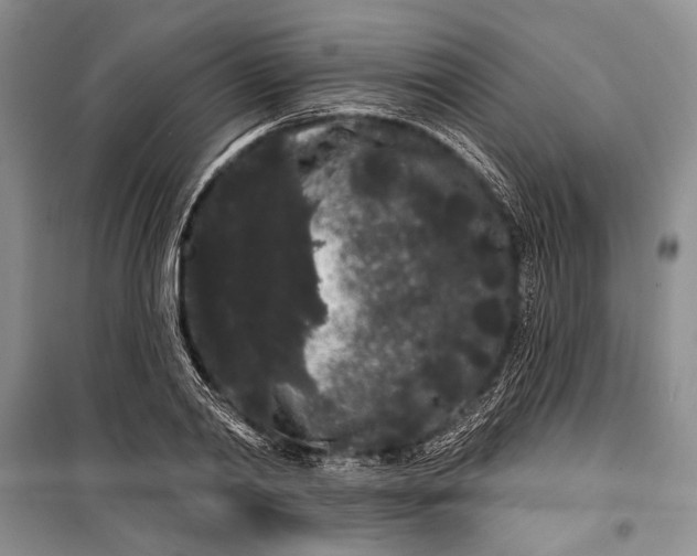 X0000100200790200806131228